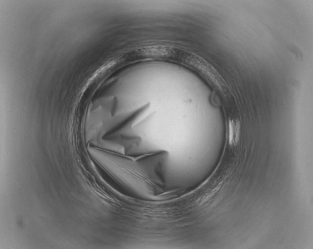 X0000116140723200912071242