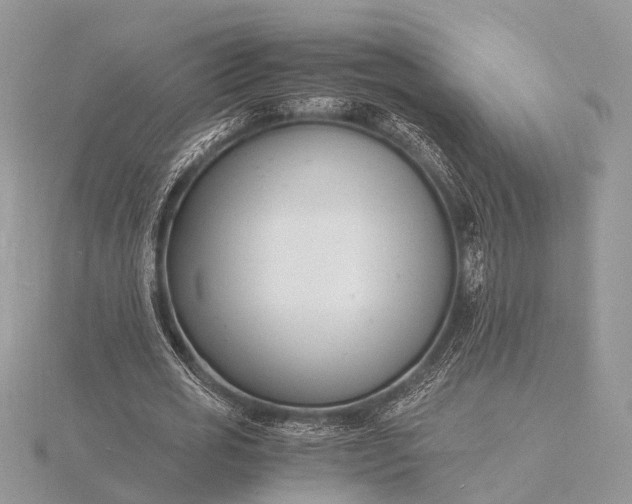 X0000116140725200912071242