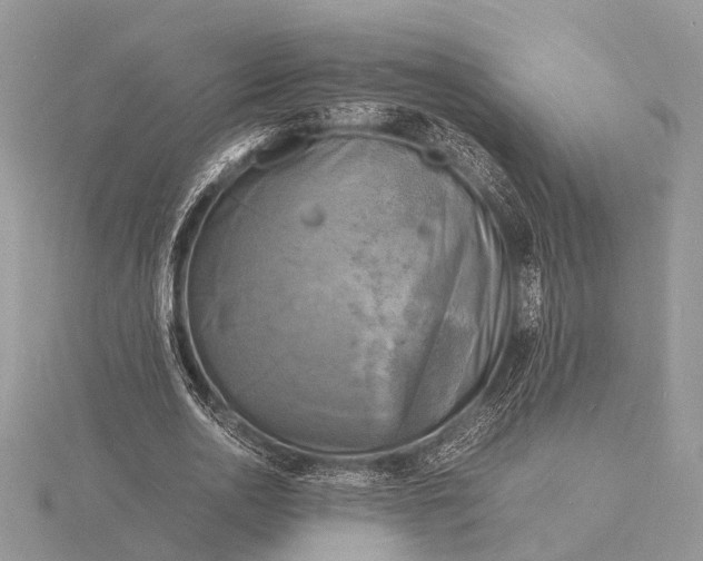 X0000116140726200912071242