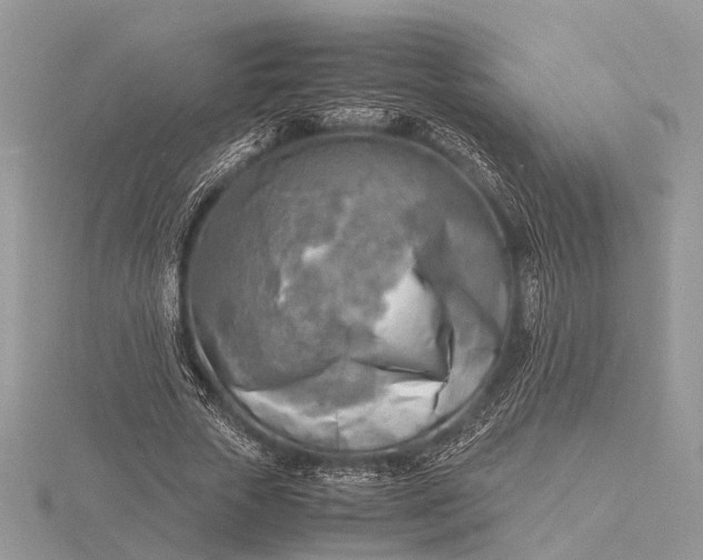 X0000116140729200912071242