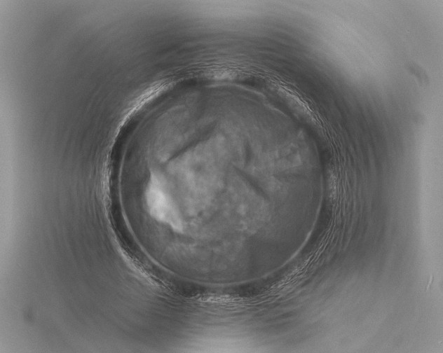 X0000116140730200912071242