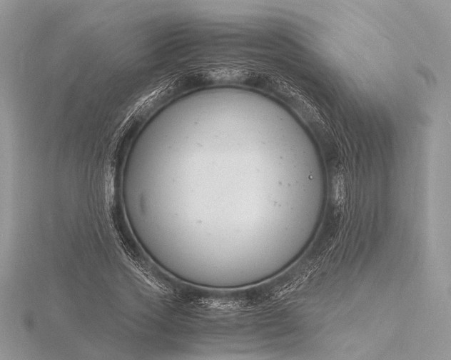 X0000116140733200912071242