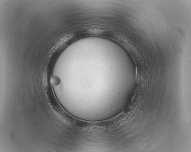 X0000116140734200912071242