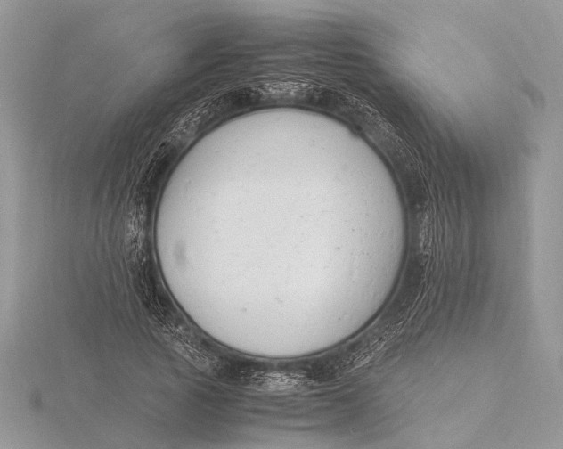 X0000116140737200912071242