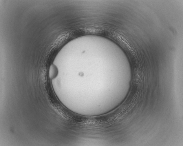 X0000116140738200912071242