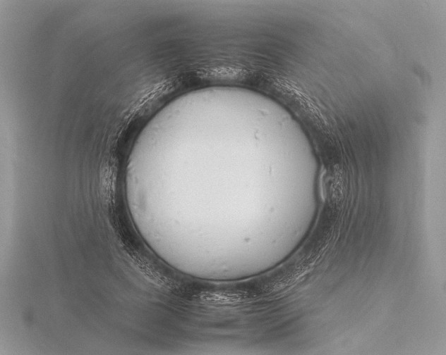 X0000116140739200912071242