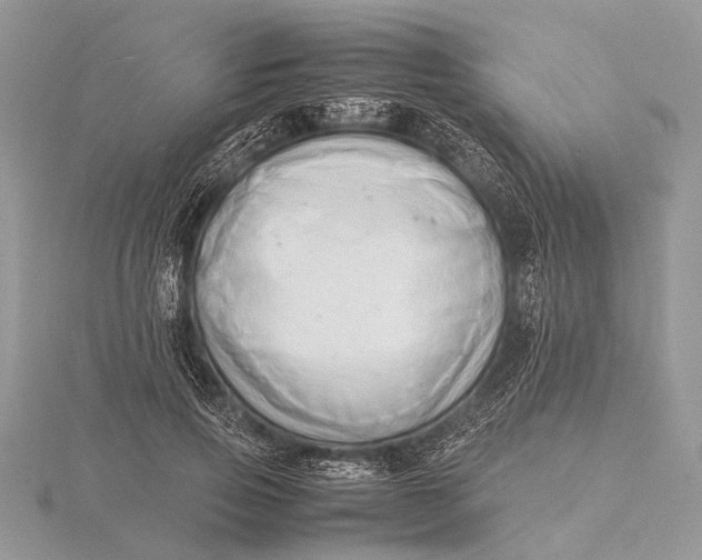 X0000116140741200912071242