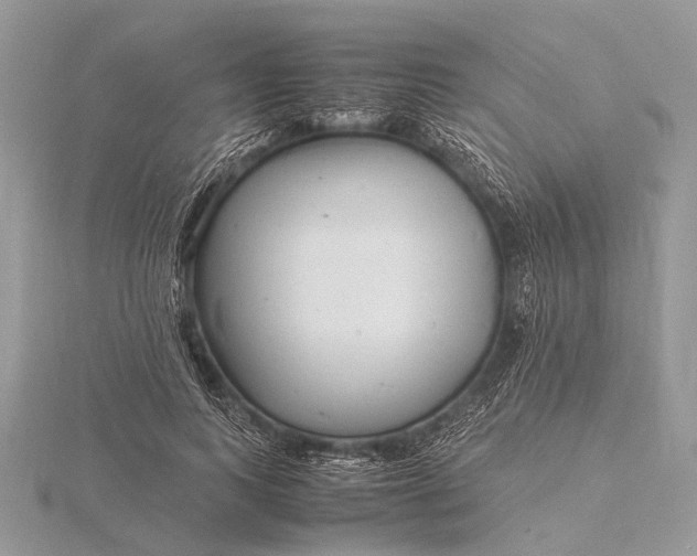 X0000116140743200912071242