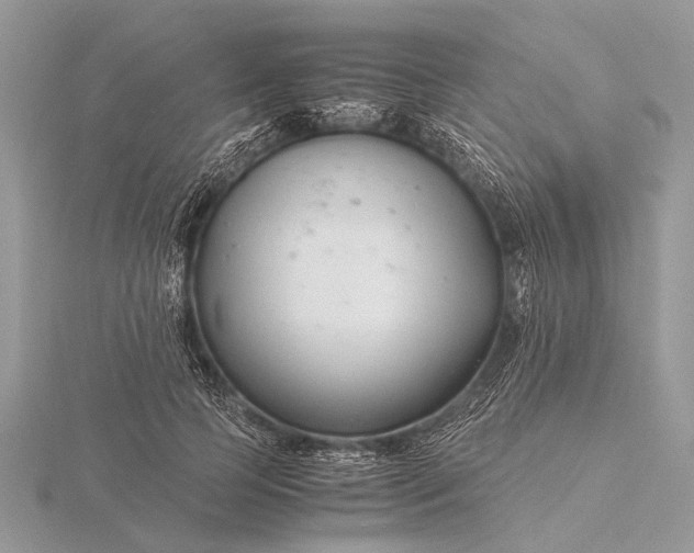 X0000116140745200912071242