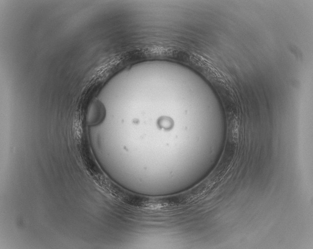 X0000116140746200912071242