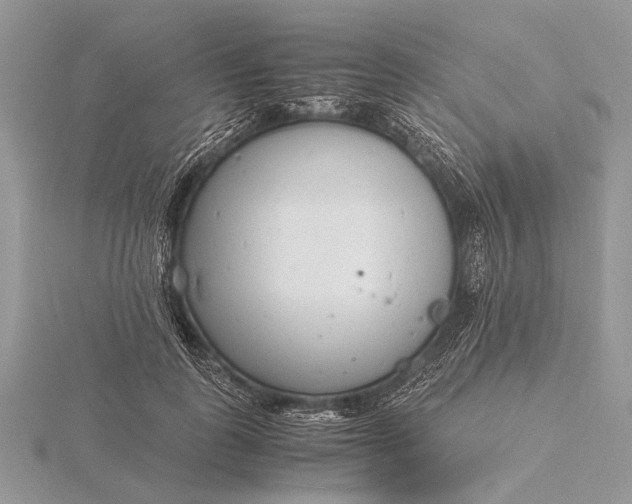 X0000116140747200912071242