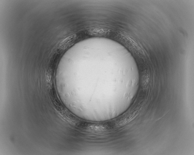 X0000116140749200912071242