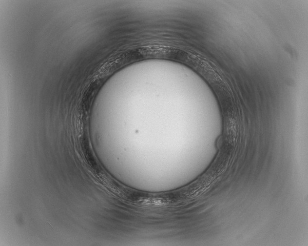 X0000116140751200912071243