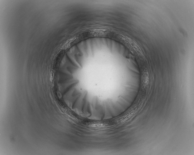 X0000116140759200912071243