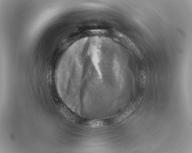 X0000116140762200912071243