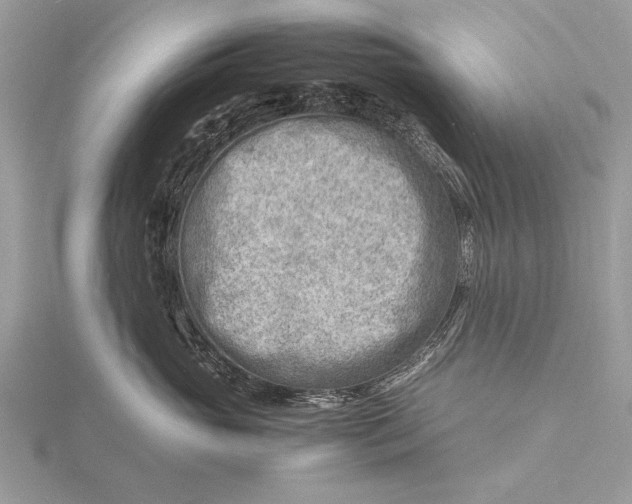 X0000116140765200912071243