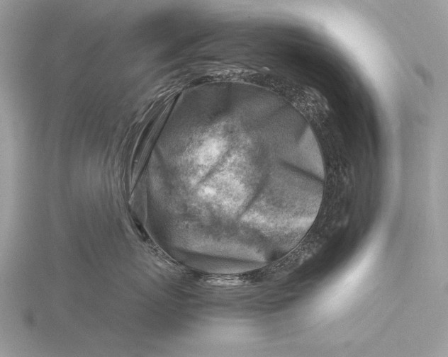 X0000116140767200912071243