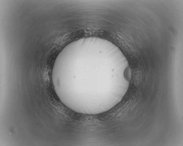 X0000116140770200912071242