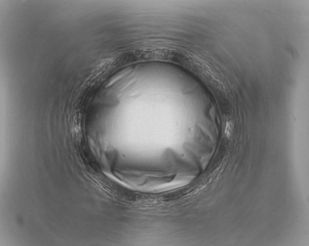 X0000116140771200912071242