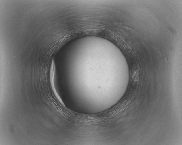 X0000116140772200912071242