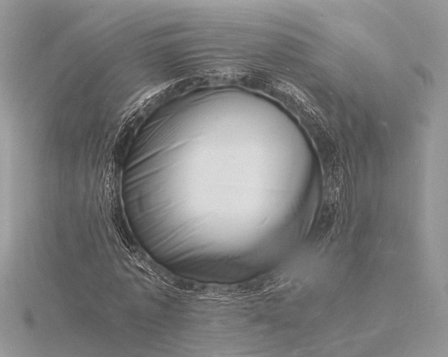 X0000116140773200912071242