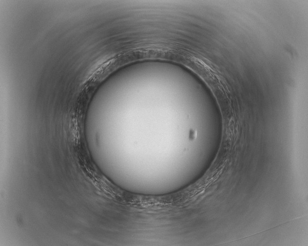 X0000116140774200912071242