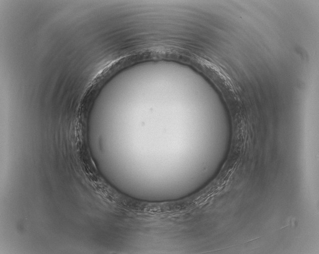 X0000116140776200912071242