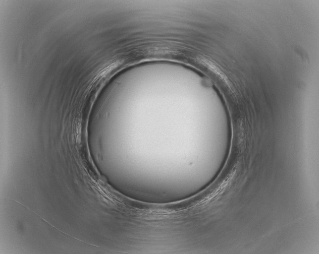 X0000116140777200912071242