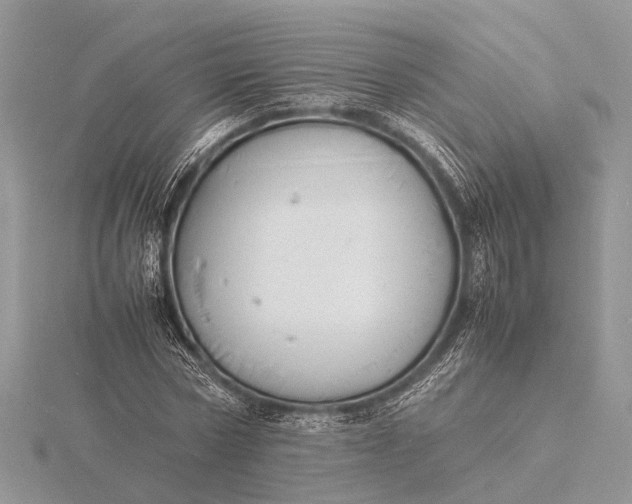 X0000116140778200912071242