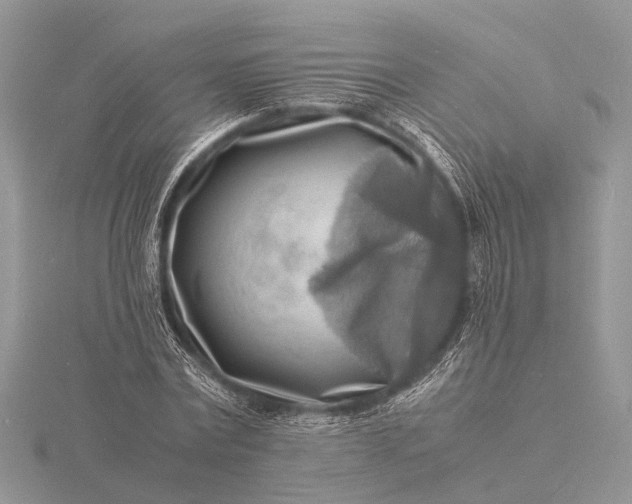 X0000116140779200912071242