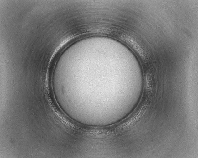 X0000116140780200912071242