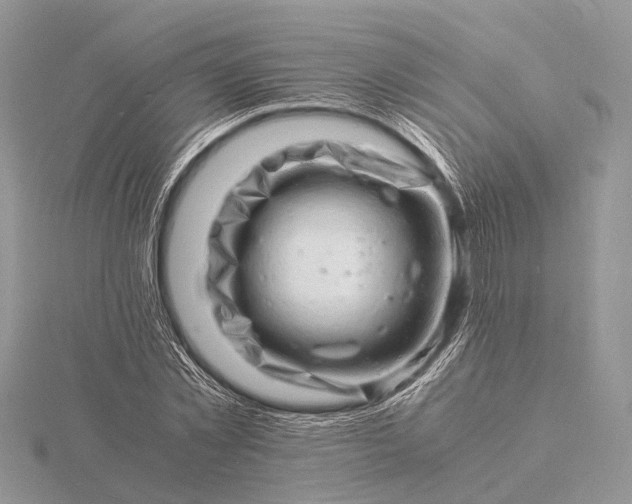 X0000116140781200912071242