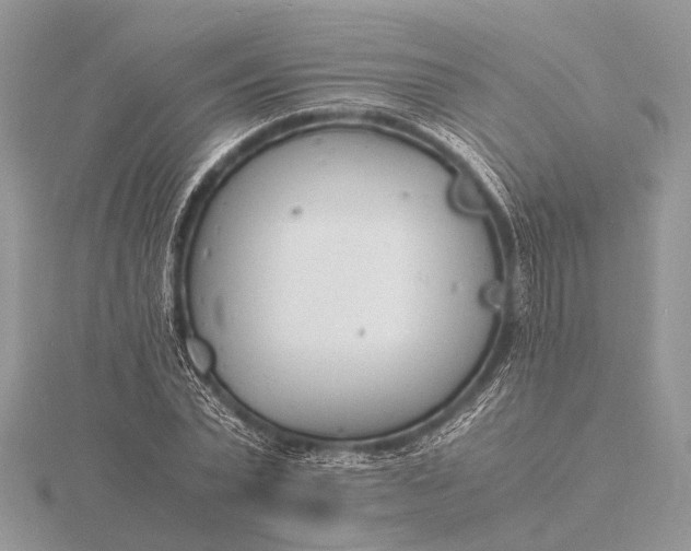 X0000116140783200912071242