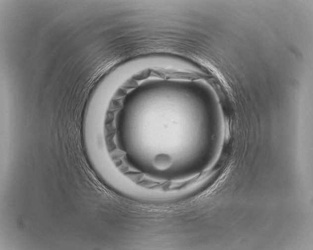 X0000116140785200912071242