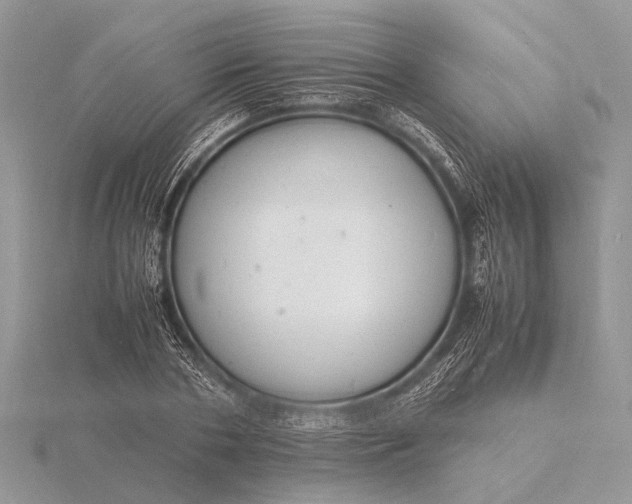 X0000116140786200912071242