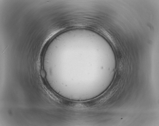 X0000116140787200912071242