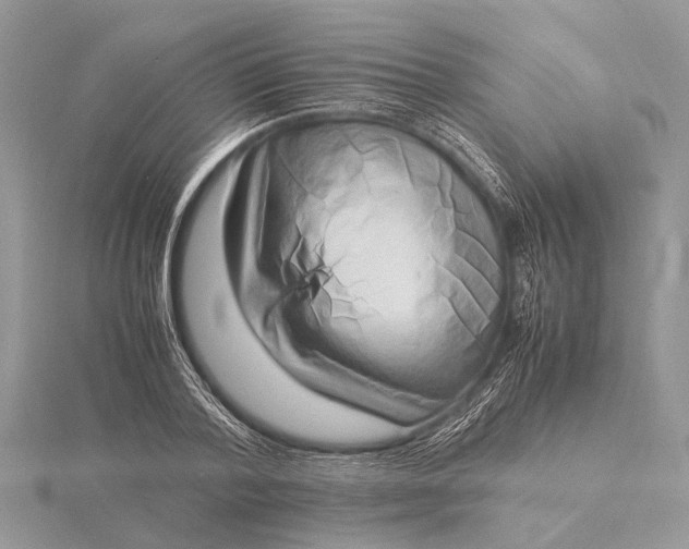 X0000116140788200912071242