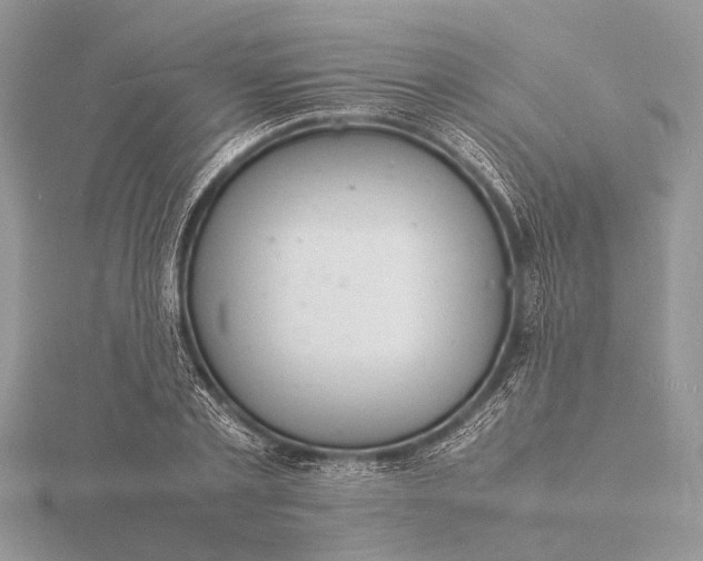 X0000116140789200912071242