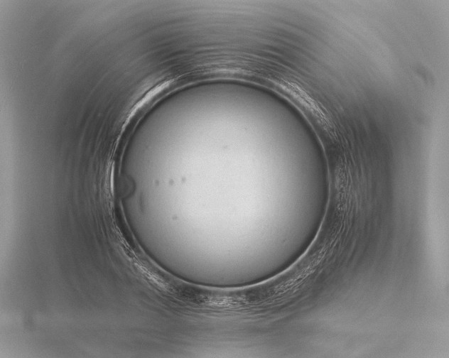 X0000116140790200912071242