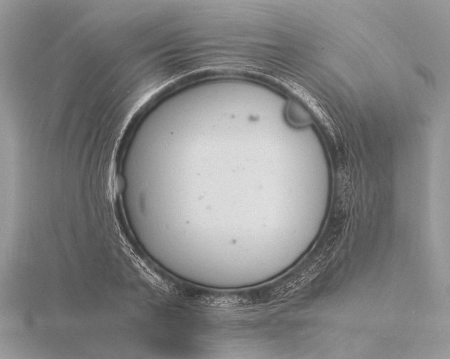 X0000116140791200912071242