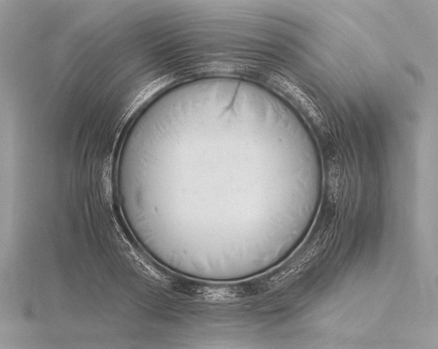 X0000116140794200912071242