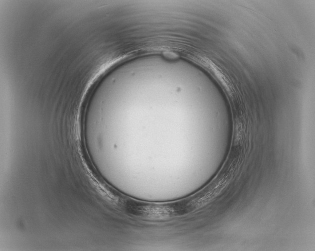 X0000116140795200912071242