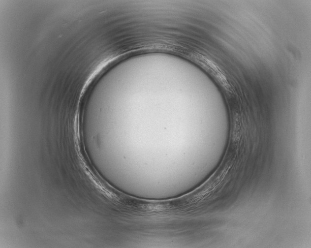 X0000116140796200912071242