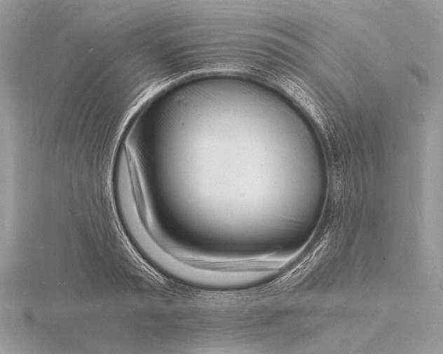 X0000116140797200912071242