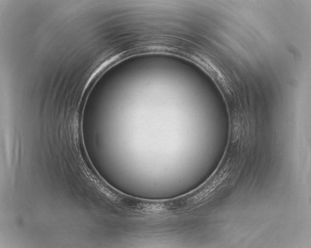 X0000116140798200912071242