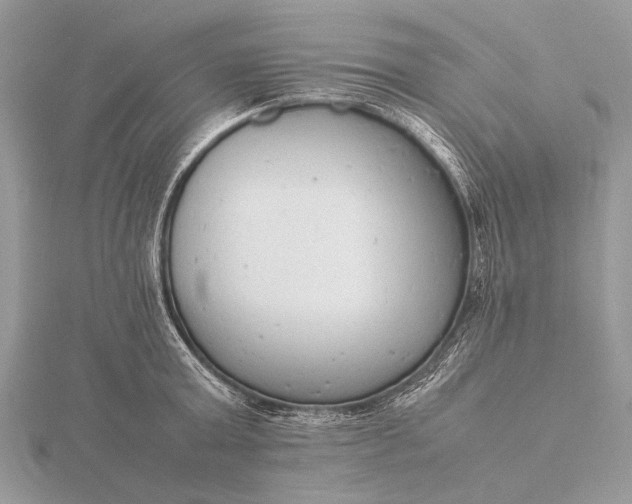 X0000116140803200912071242