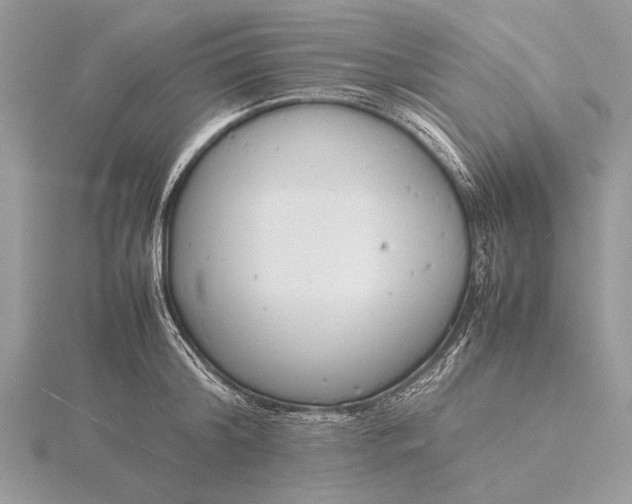 X0000116140804200912071242