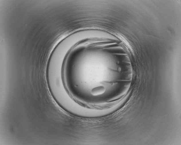 X0000116140805200912071242