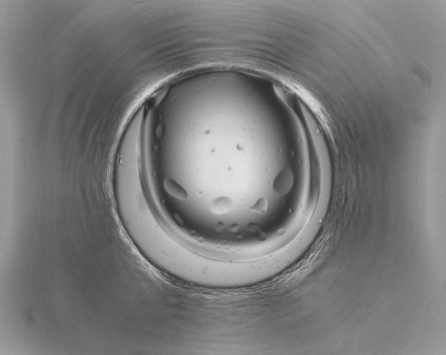 X0000116140807200912071242