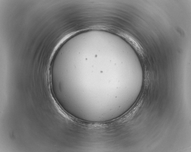 X0000116140808200912071242